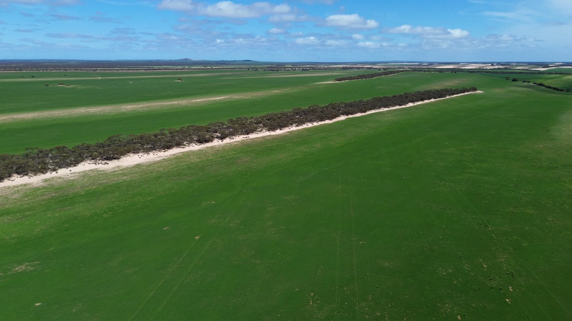 Additional image 13 of Lot 2 Palabie Road, Wudinna SA 5652