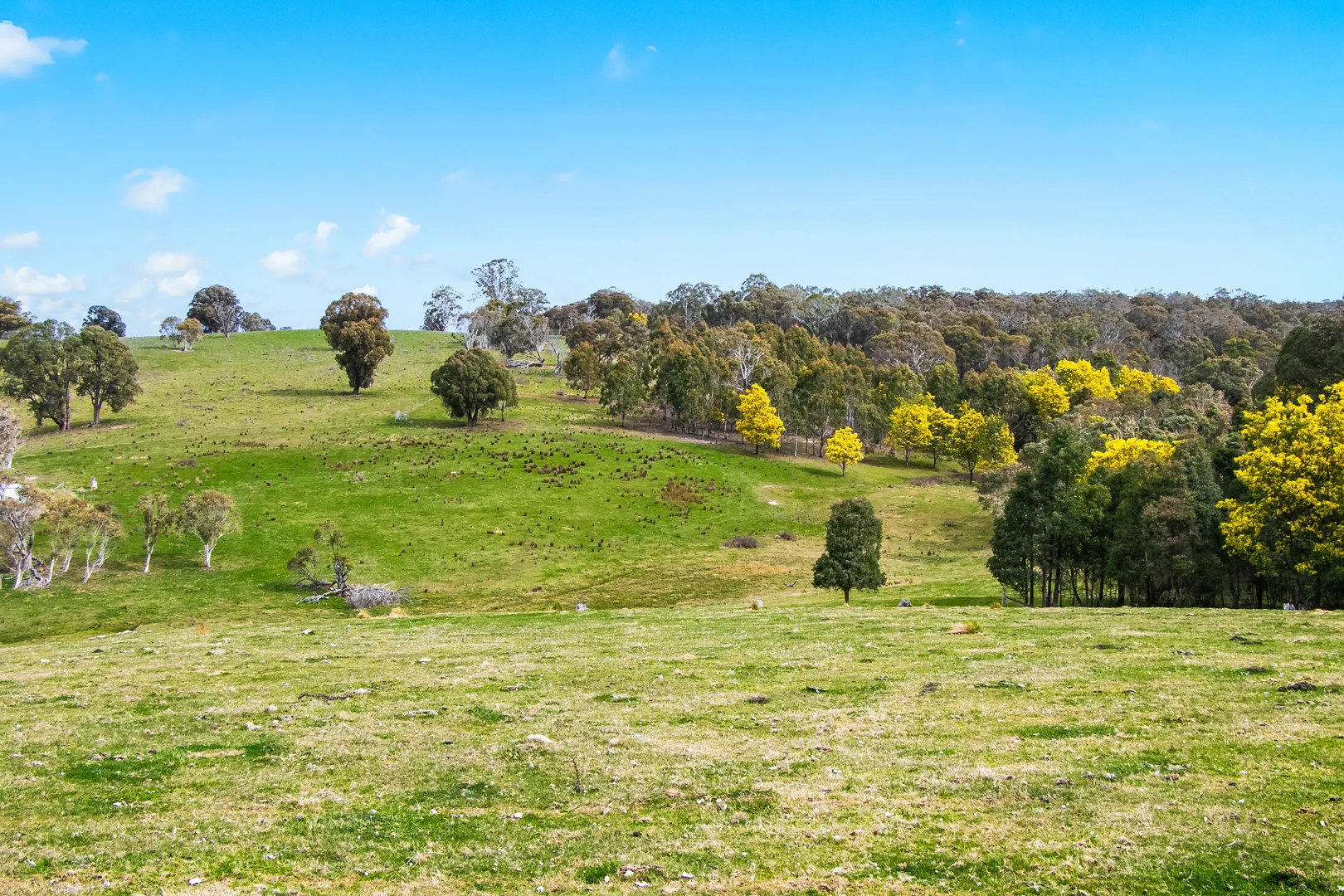 Additional image 20 of 171 Big Flat Road, Bombala NSW 2632