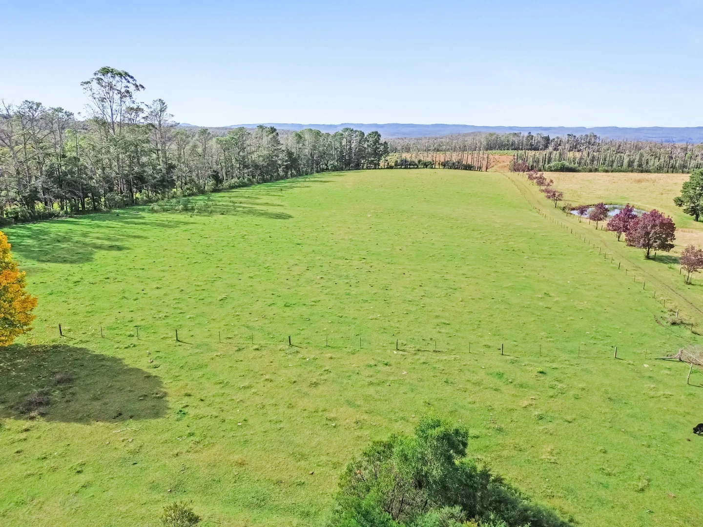 Additional image 16 of 92 Powells Road, Bilpin NSW 2758