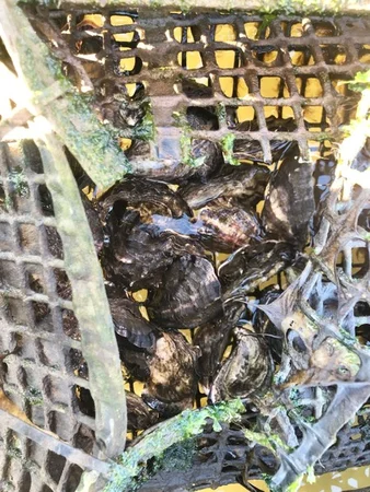 Additional image 16 of 100 Cockle Creek Road, Recherche TAS 7109