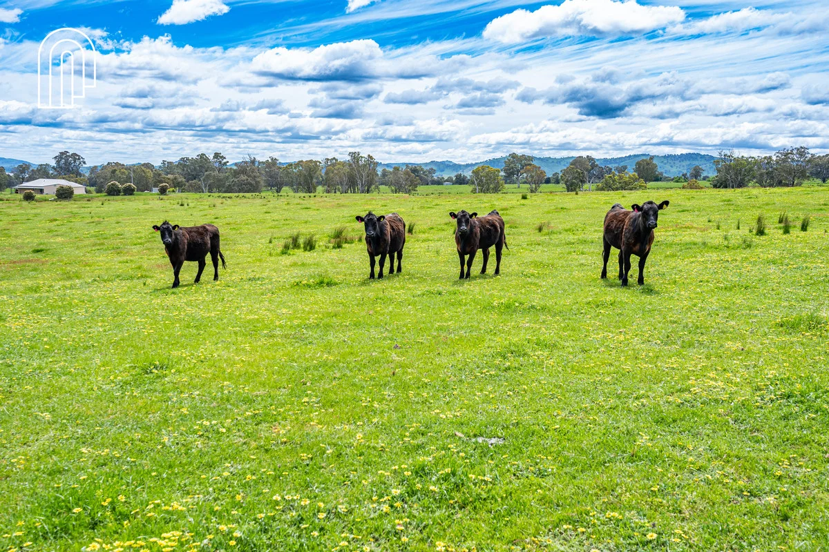 Additional image 16 of 710a Talgarno Gap Road, Talgarno VIC 3691