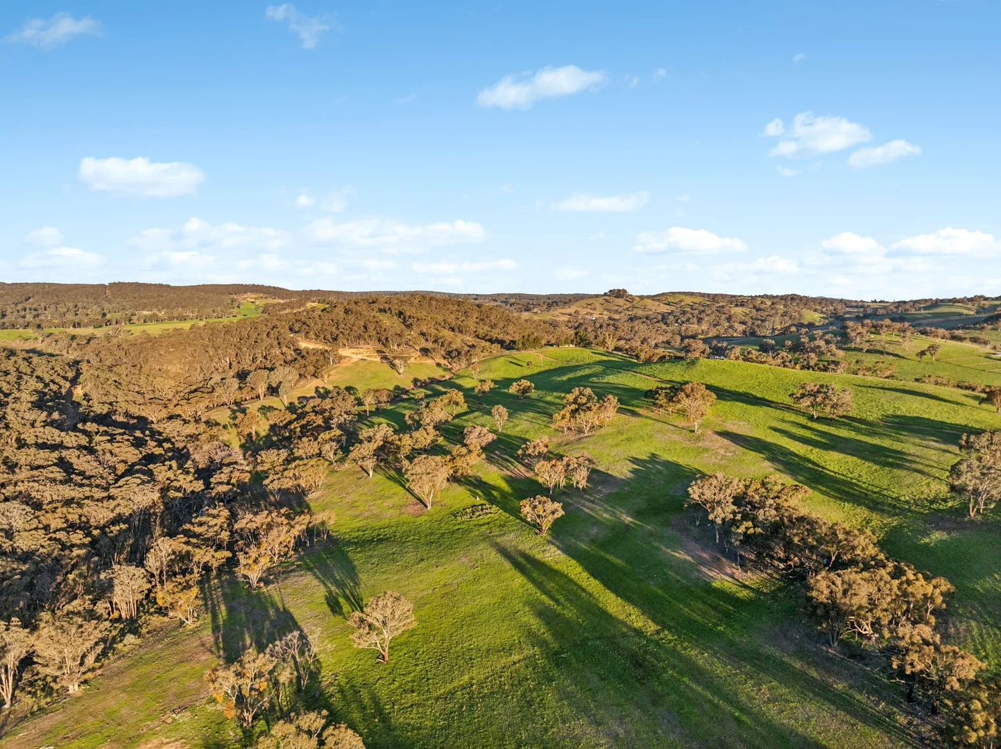 Additional image 6 of 358 Belgravia Road, Orange NSW 2800