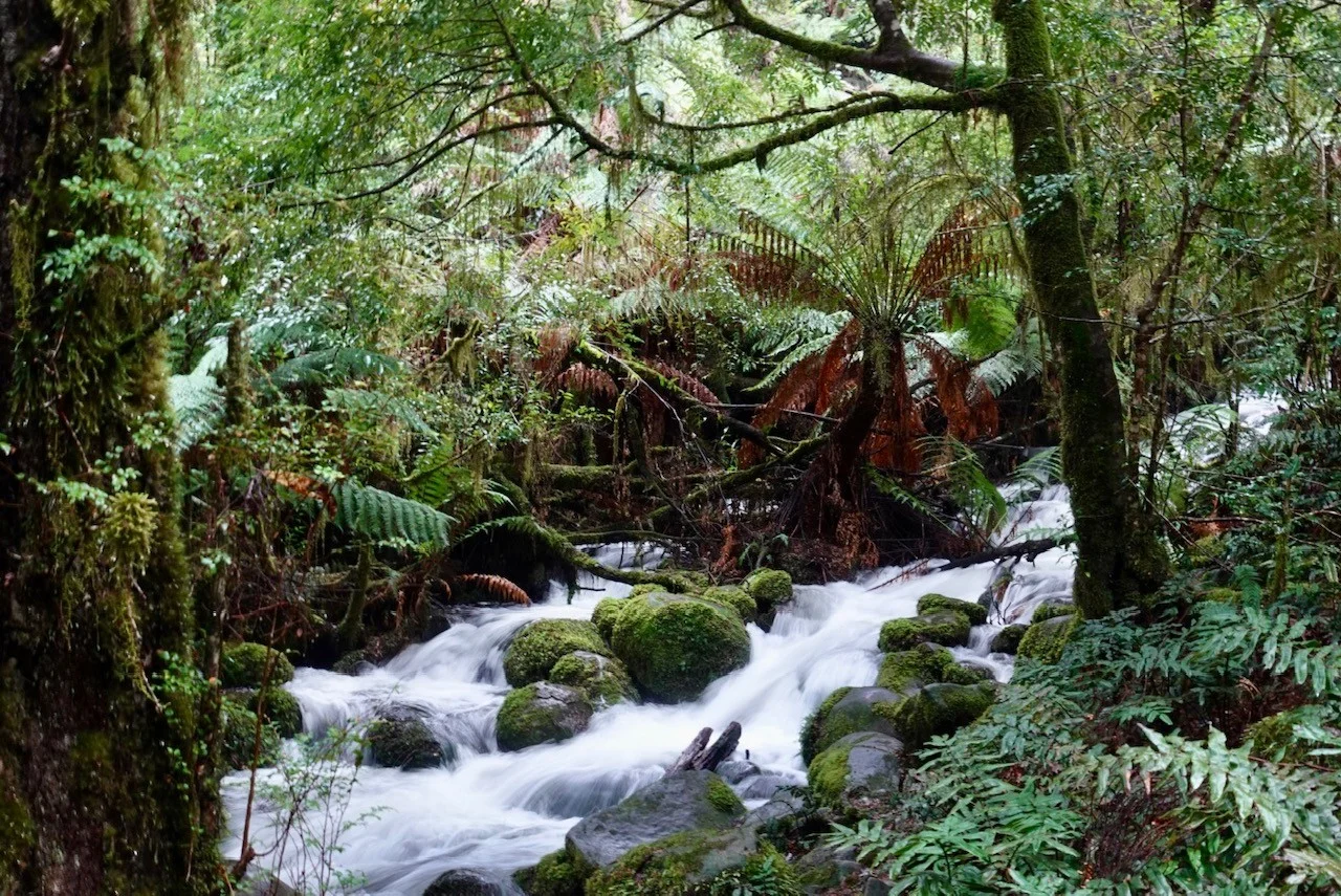 Additional image 21 of 12 Ferntree Avenue, Warburton VIC 3799