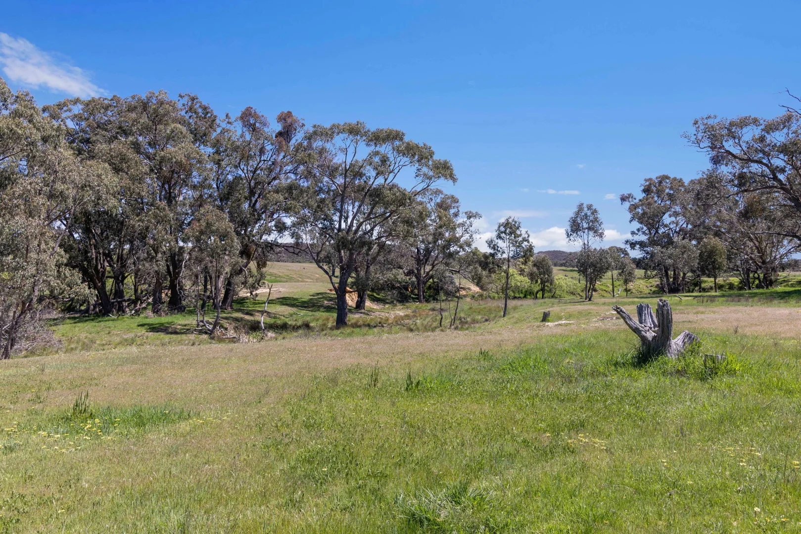 Additional image 23 of "Wattle Grove "1649 Coolalie Road, Yass NSW 2582