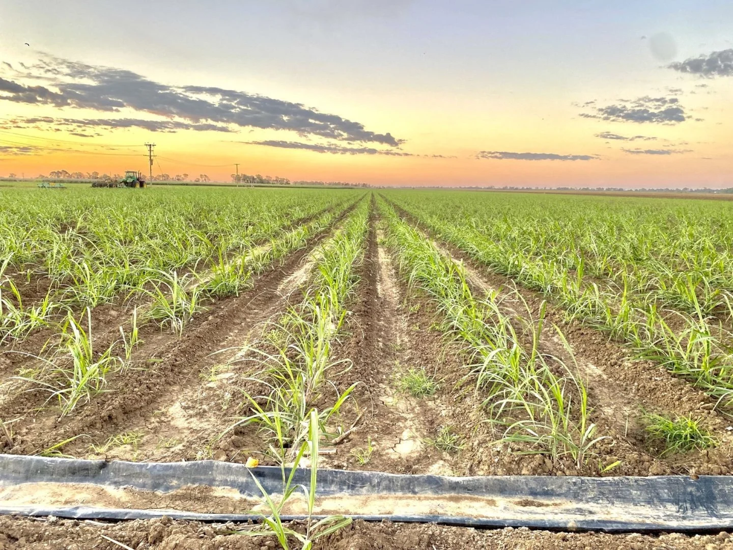 Additional image 5 of 25 Lochinvar Road, Brandon QLD 4808