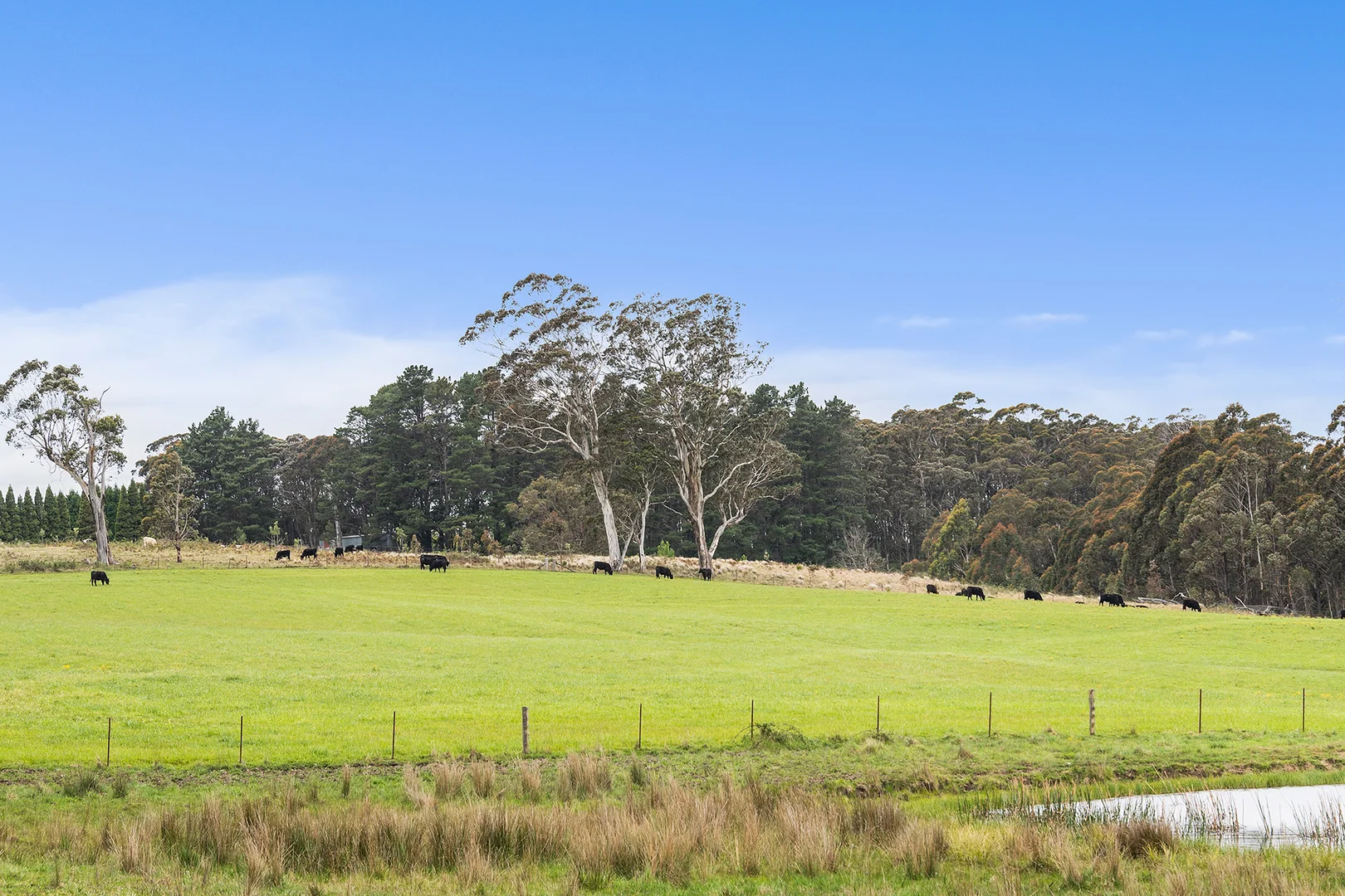 Additional image 15 of Exeter NSW 2579