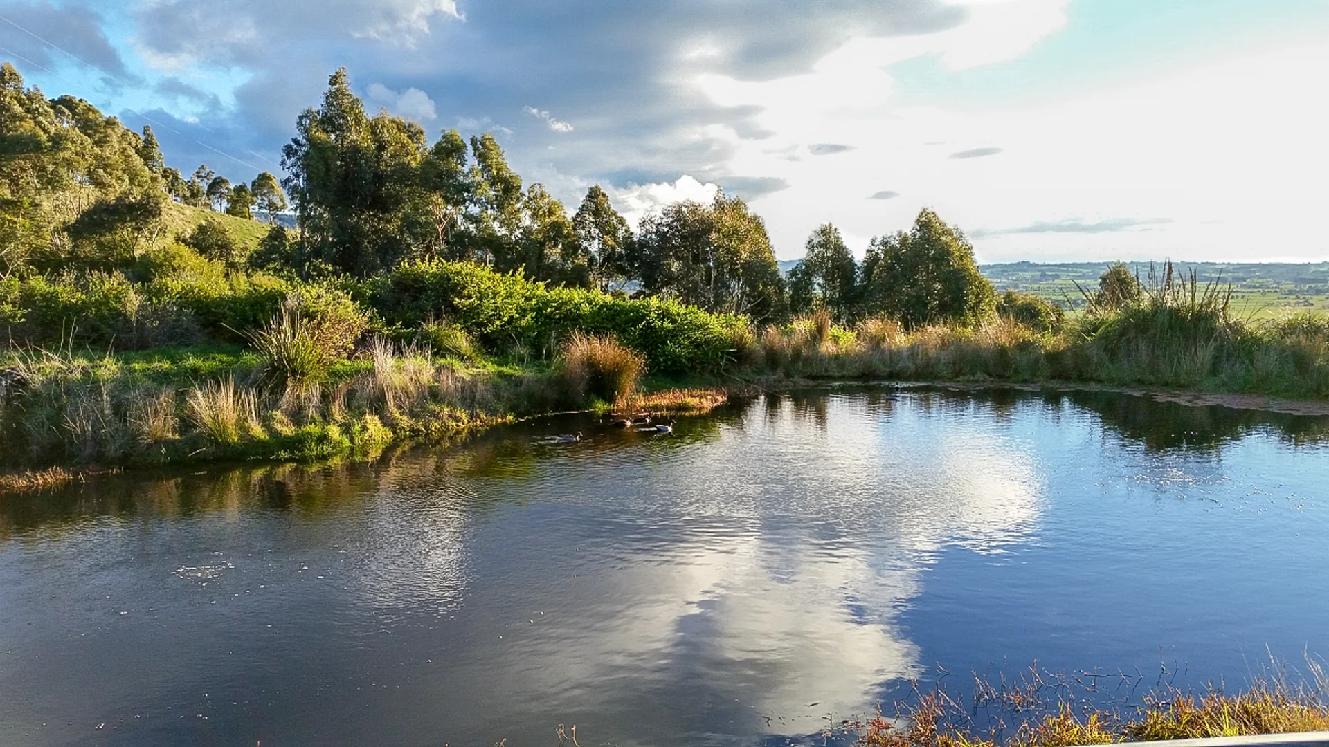 Additional image 20 of 426 Yarragon Leongatha Road, Yarragon VIC 3823