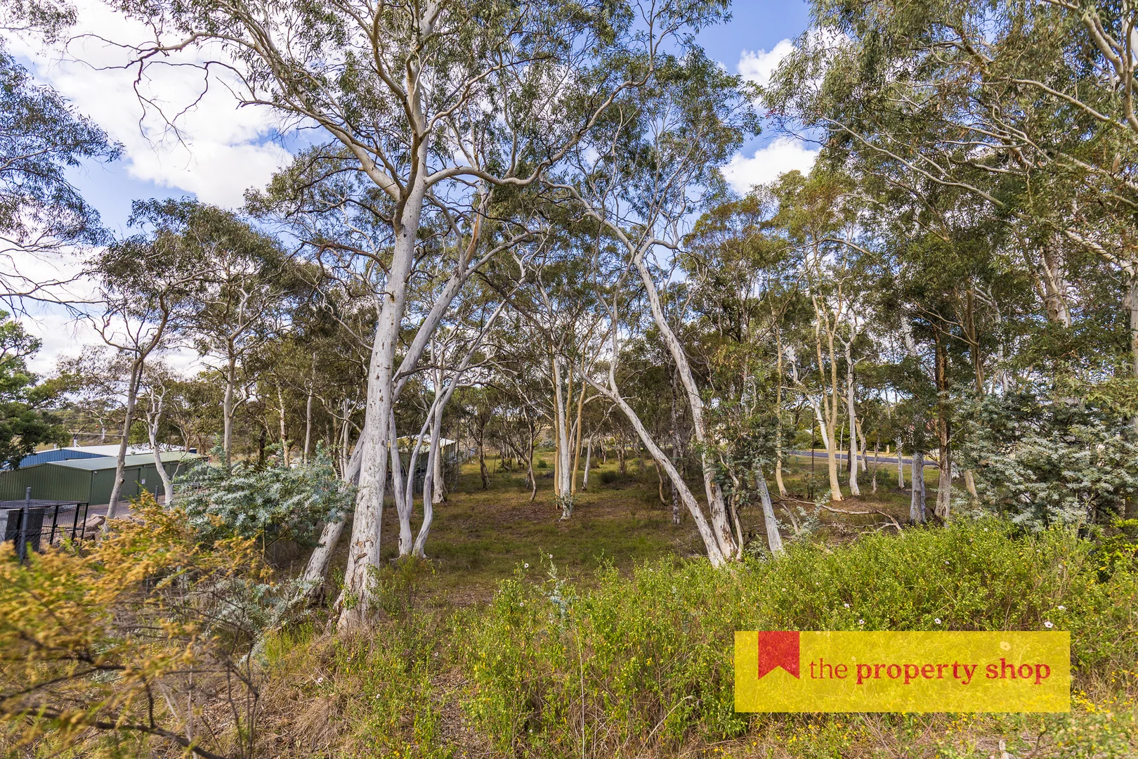 Additional image 6 of 9 Tindale Street, Rylstone NSW 2849