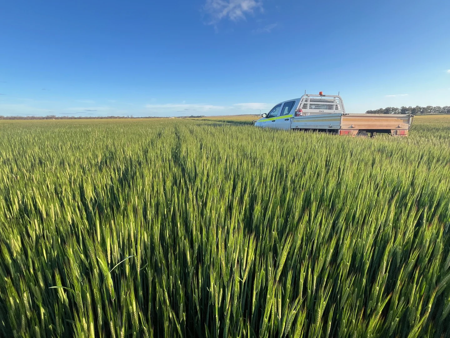 Additional image 26 of Midlands Road, Marchagee WA 6515