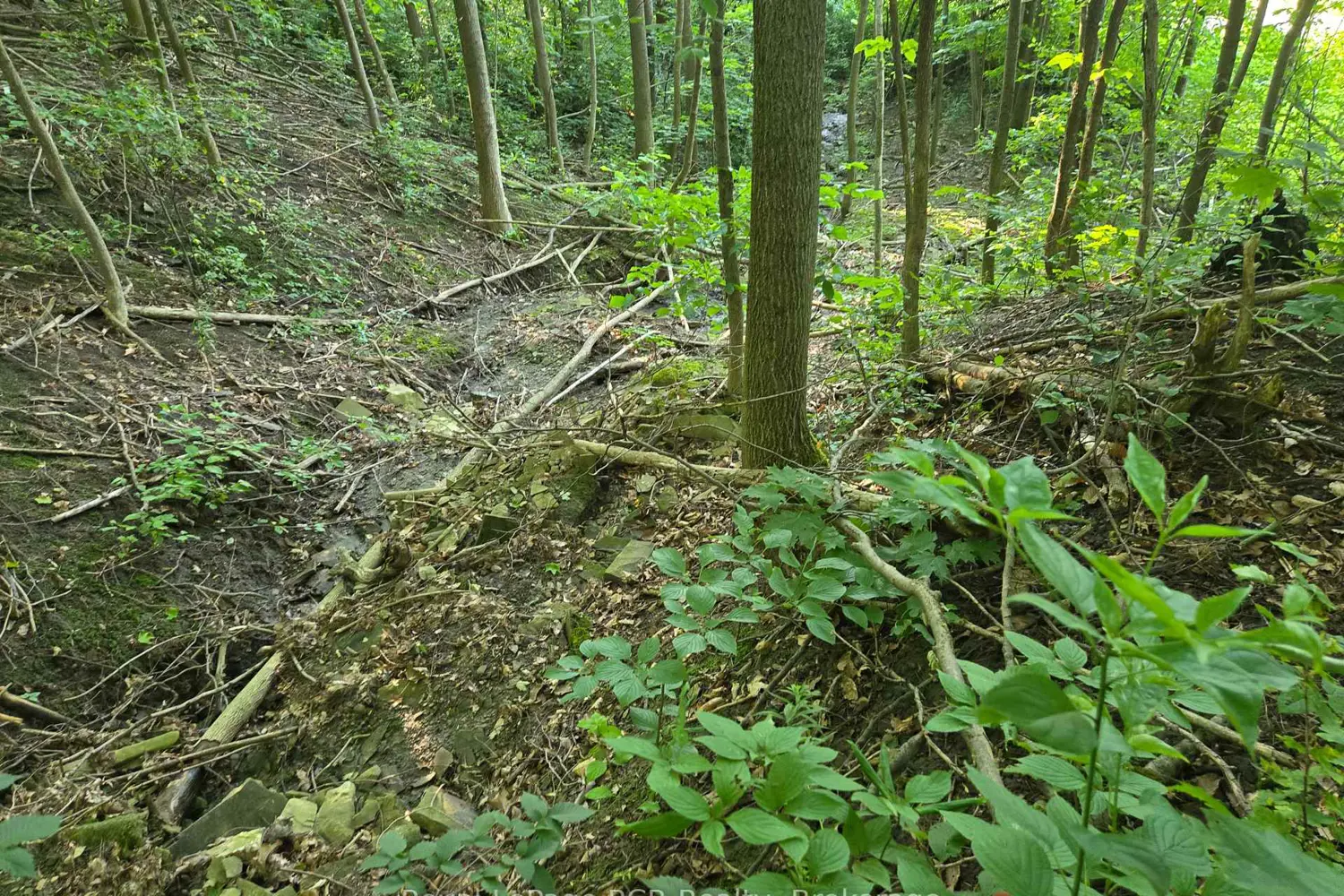 Additional image 6 of 126 Old Highway 26 Highway