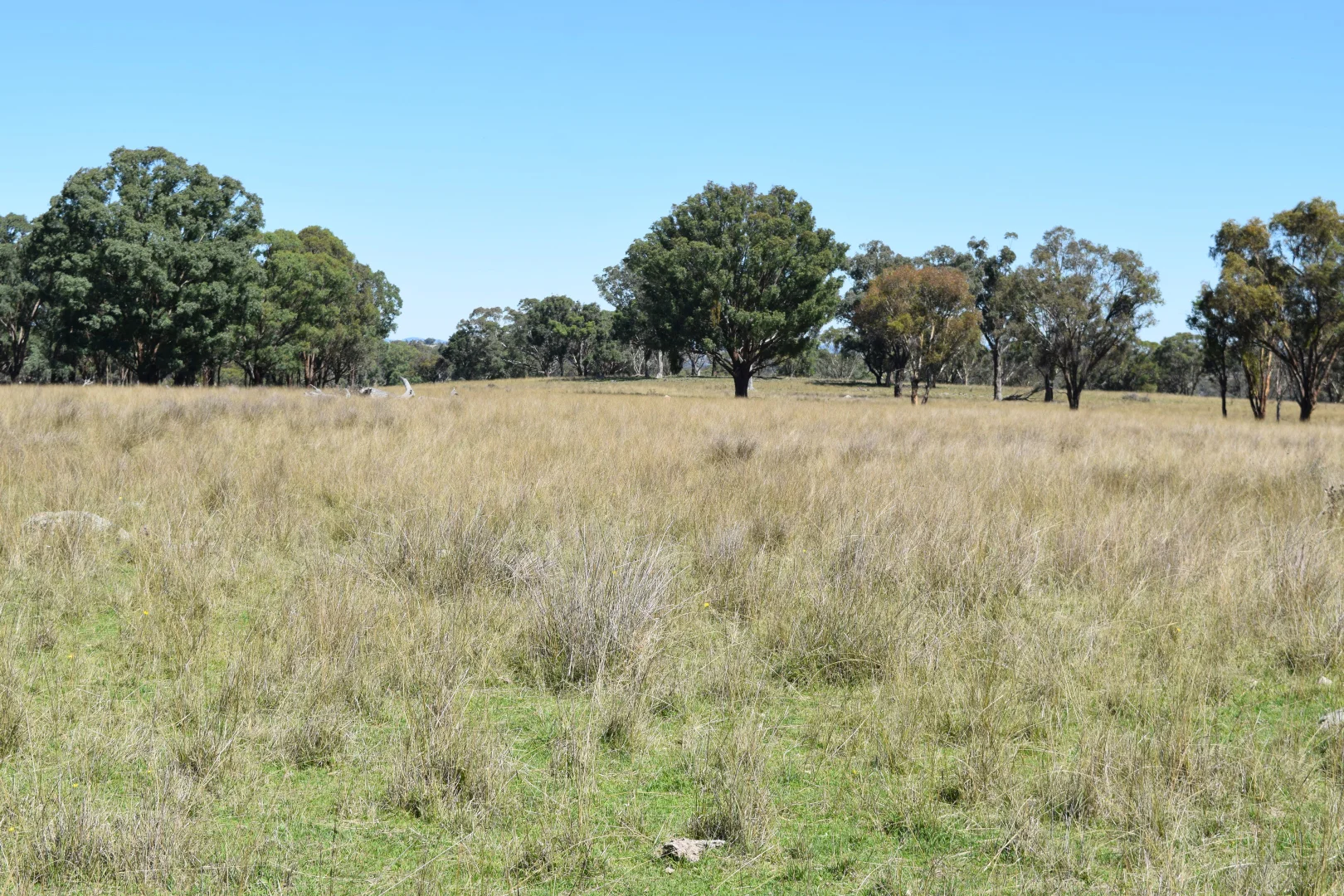 Additional image 21 of 3158 Baldersleigh Road, Guyra NSW 2365