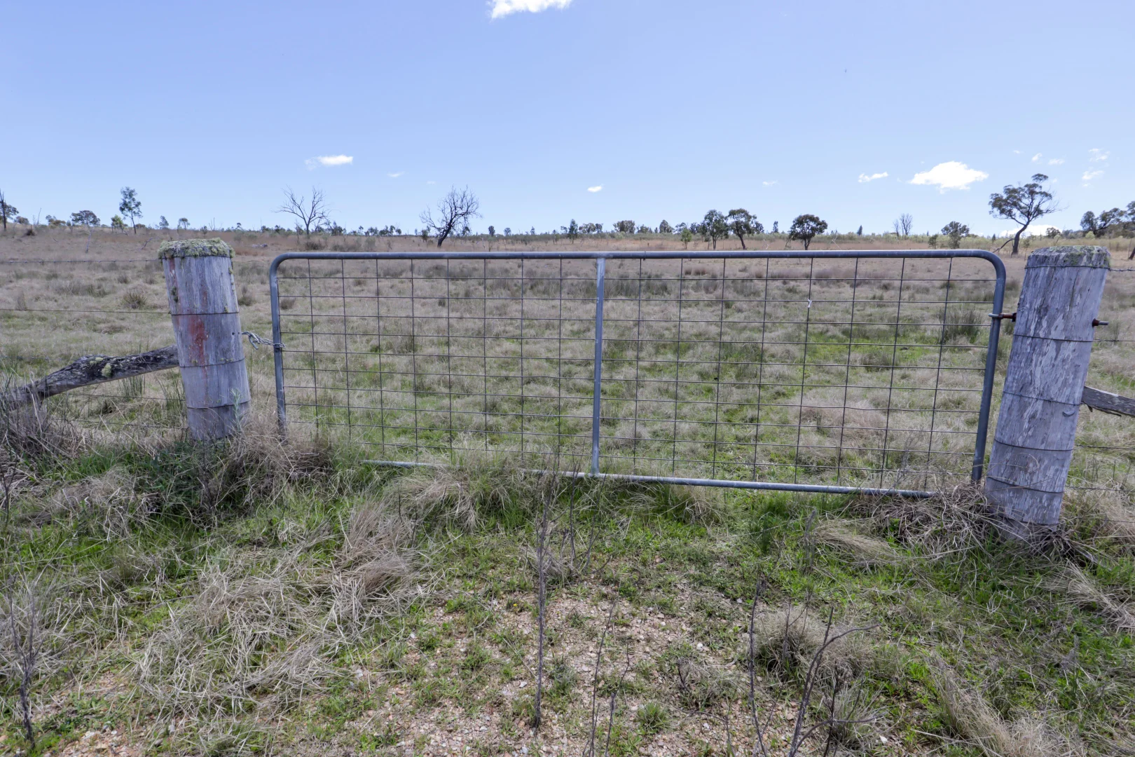 Additional image 4 of 94 Tarban Road, Tenterfield NSW 2372