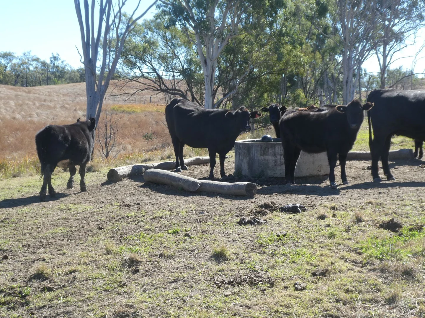 Additional image 4 of 59 Mungy Road, Mungy QLD 4671