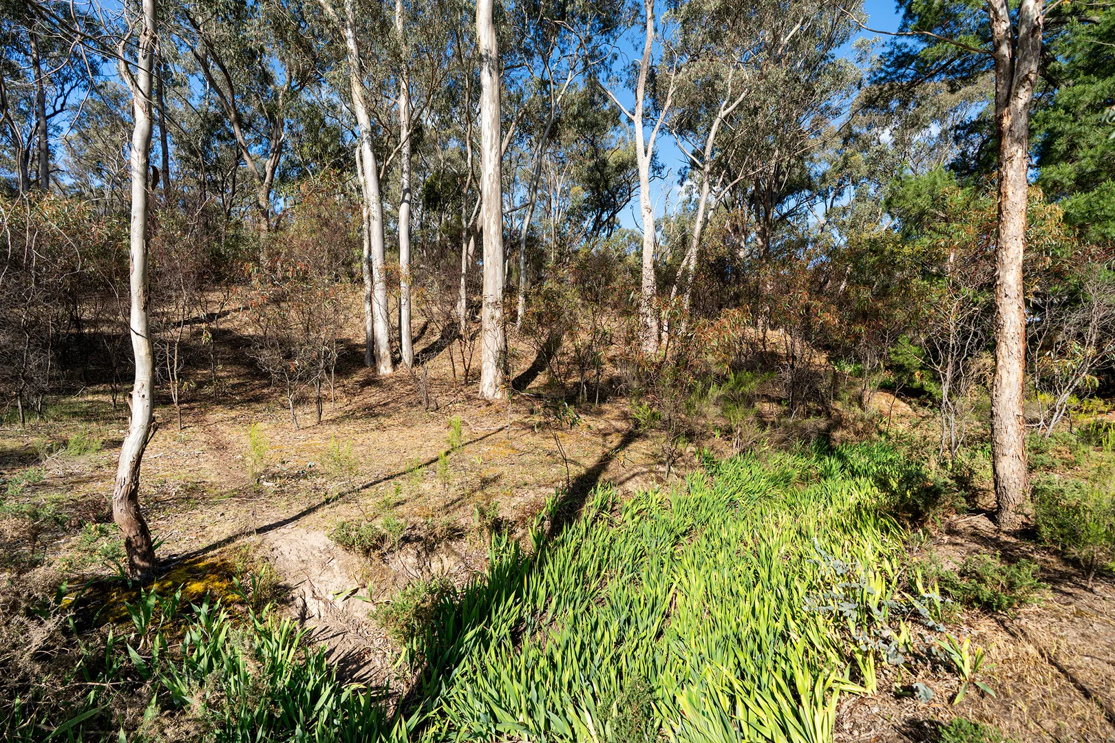 Additional image 14 of 2/222 Blakeley Road, Castlemaine VIC 3450