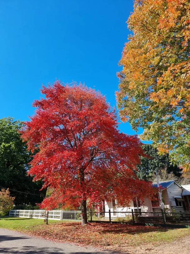 30 Grey Street, Jamieson VIC 3723