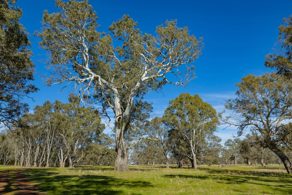 Additional image 15 of 252 Wannon Nigretta Road, Wannon VIC 3301