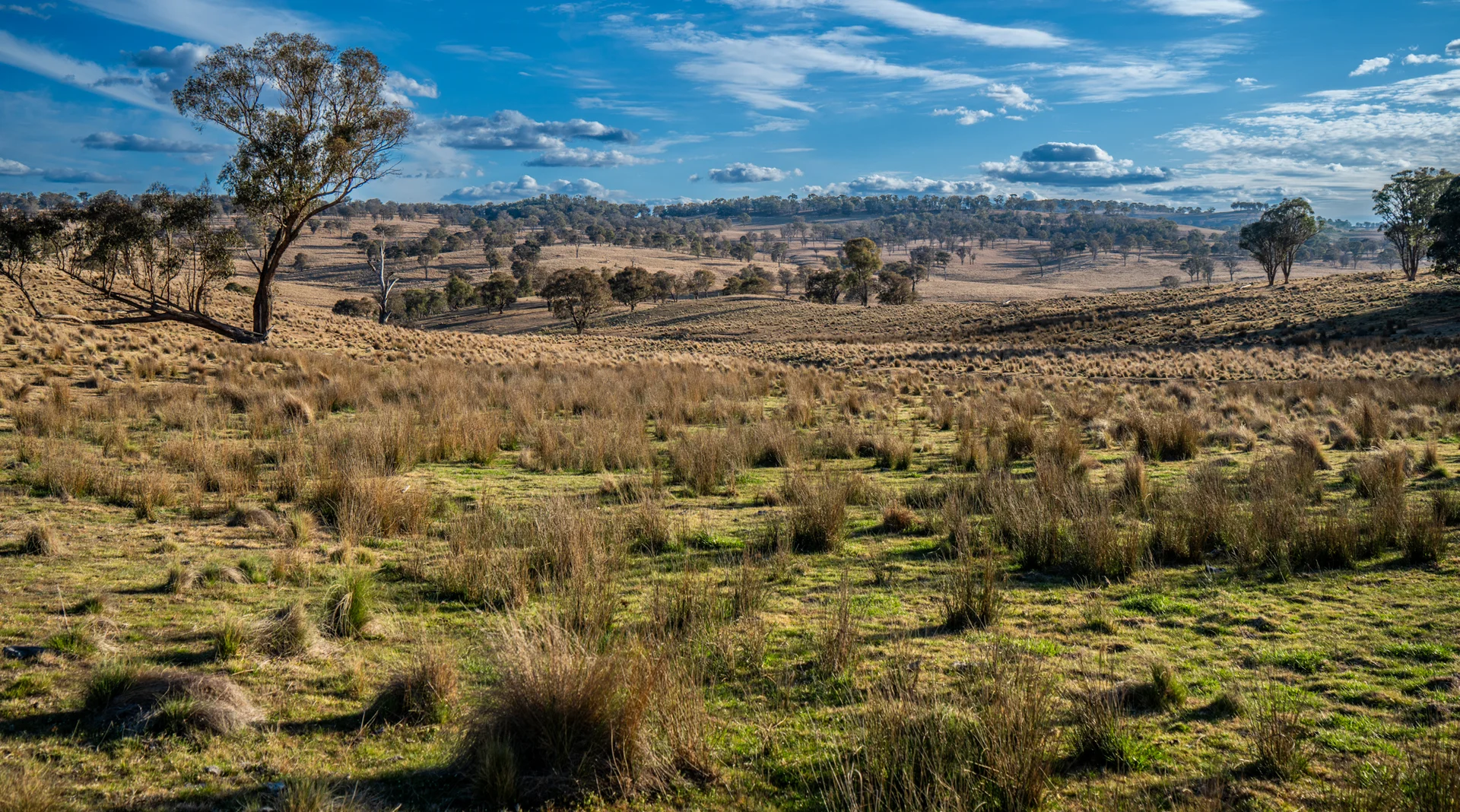 Additional image 20 of 250 Sissons Road Aberfoyle, Armidale NSW 2350