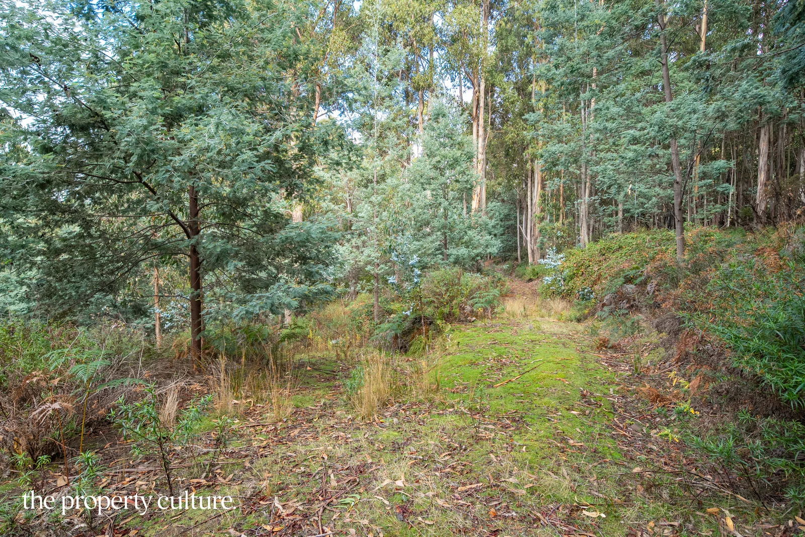 Additional image 20 of 2 Heriots Rise, Franklin TAS 7113