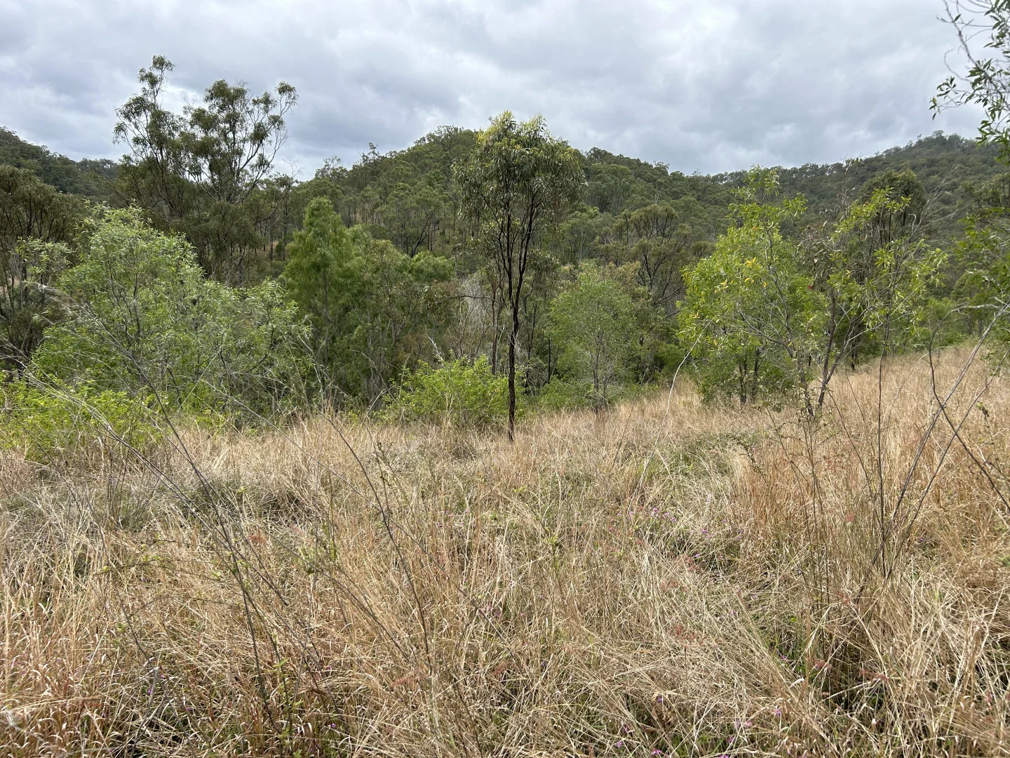 Additional image 23 of 789 Coppin Rd, Monto QLD 4630