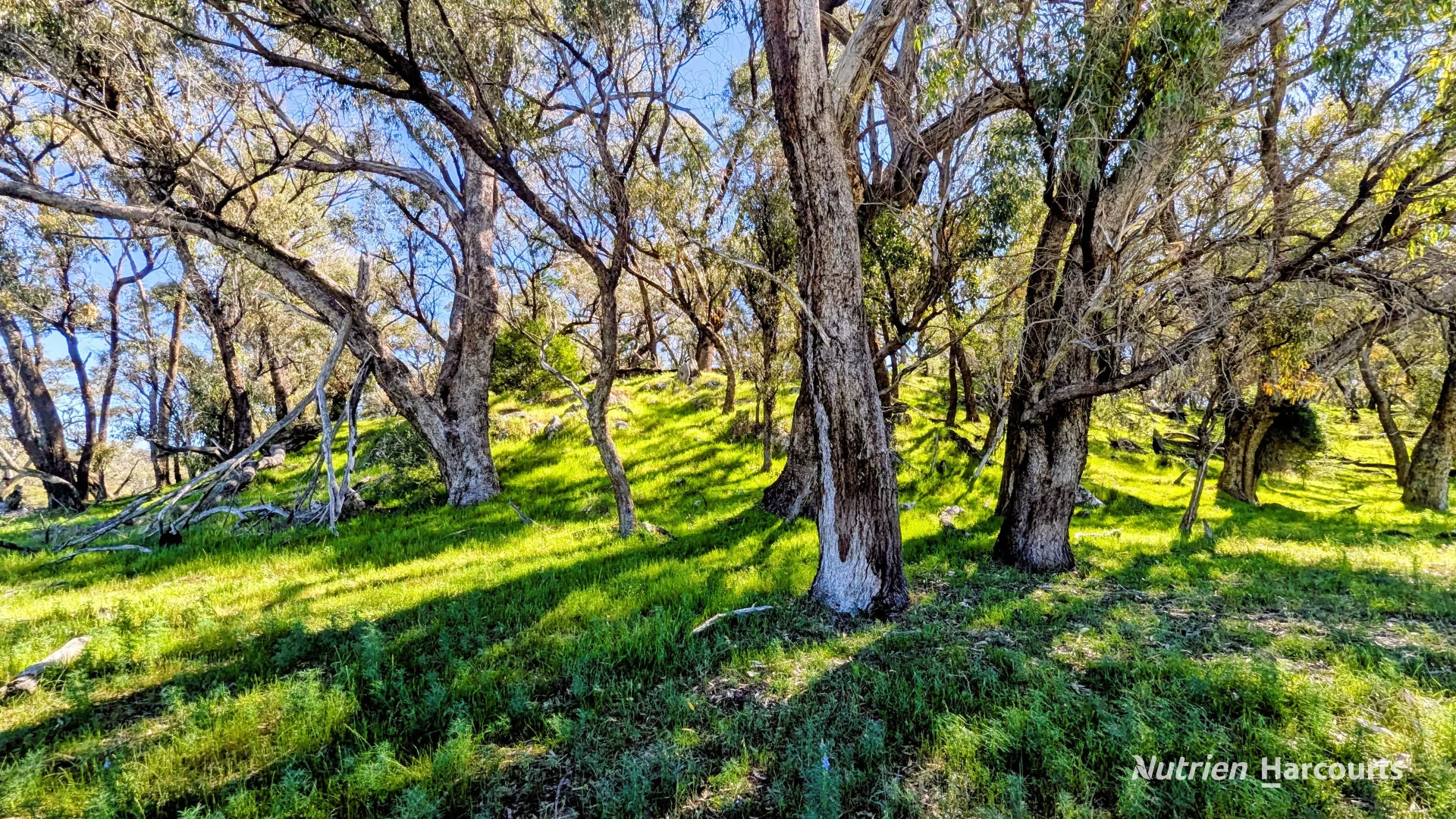 Additional image 25 of Lot 51 Millbank Road, Cowalla WA 6503