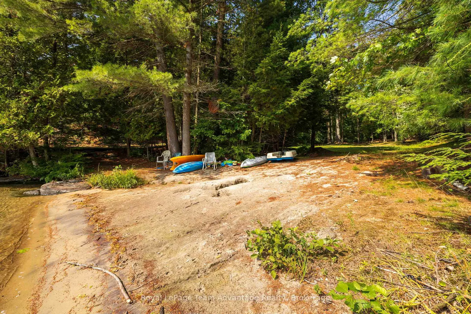 Additional image 7 of 11 Veronica Gene Lane