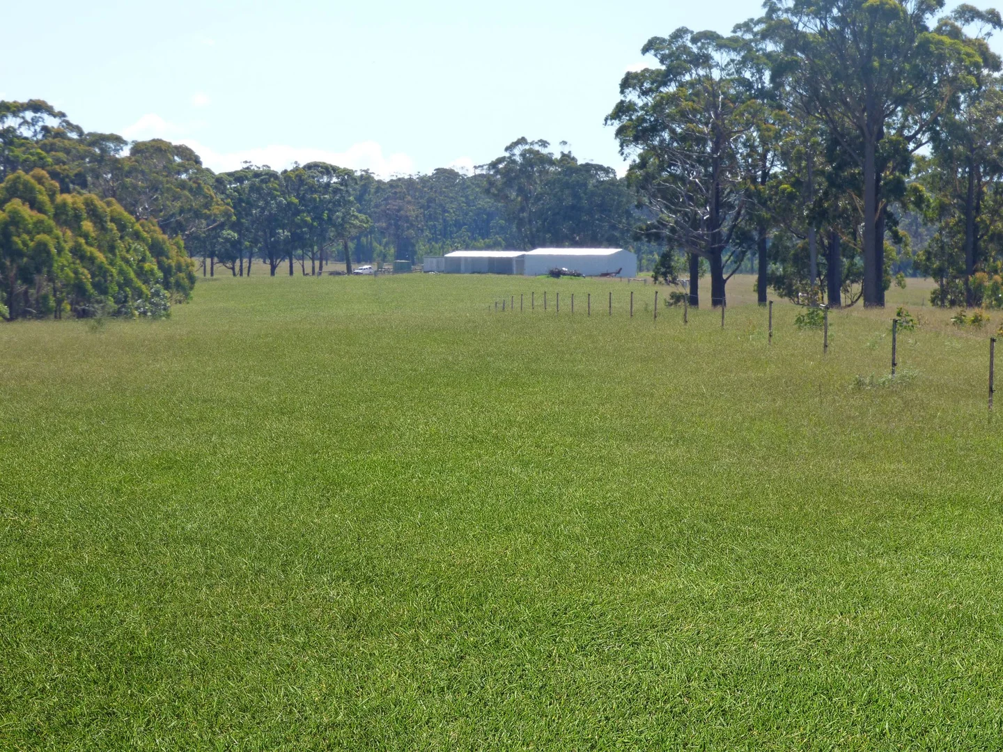 Additional image 19 of 218 Cabbage Tree - Conran Road, Cabbage Tree Creek VIC 3889
