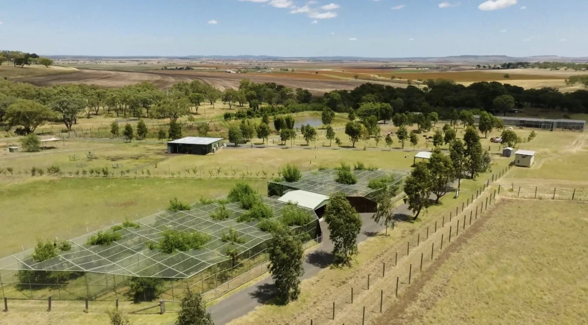 Additional image 18 of 21 Baines Road, Pilton QLD 4361