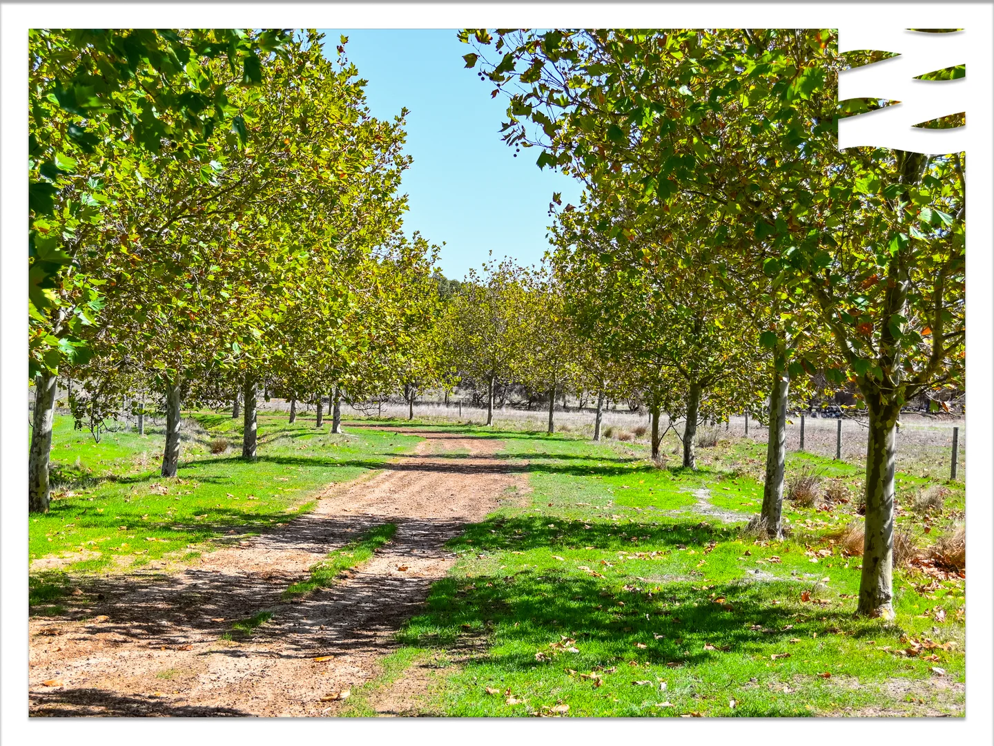 Additional image 9 of 81 O'Neill Road, Mount Barker WA 6324