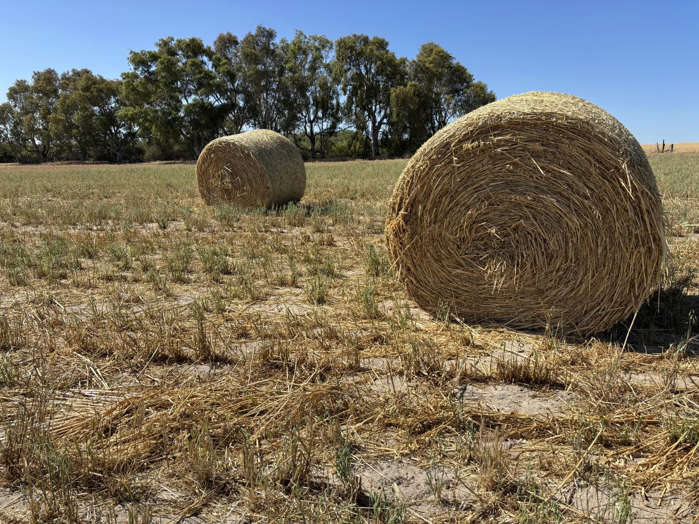 Additional image 8 of . 'Cobbers Soak', Quairading WA 6383