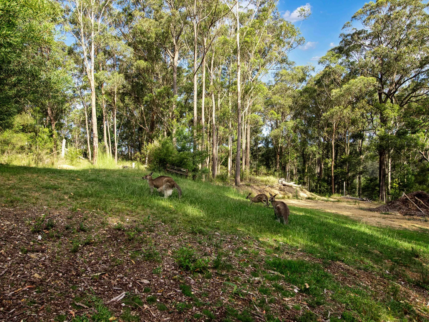 Additional image 36 of 11187 Princes Highway, Benandarah NSW 2536
