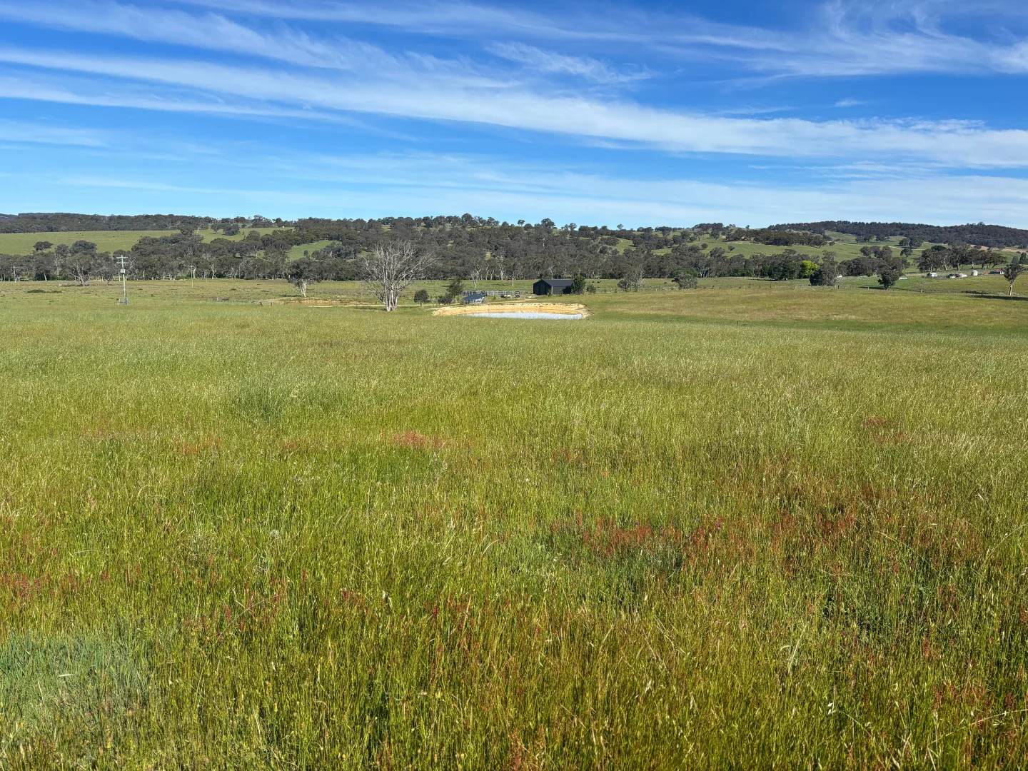 Additional image 21 of 1050 Garland Road, Garland NSW 2797