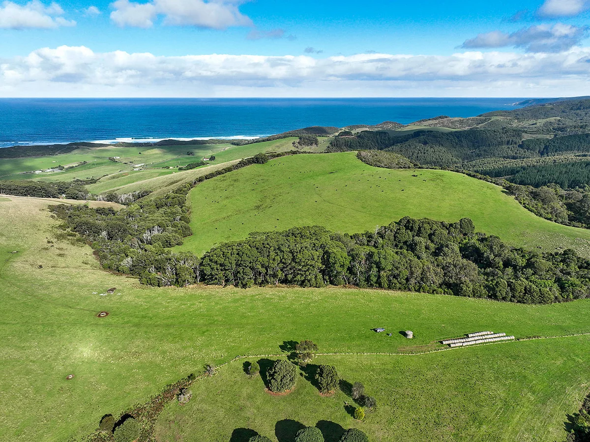 Additional image 4 of 105 Stafford Road, Johanna VIC 3238