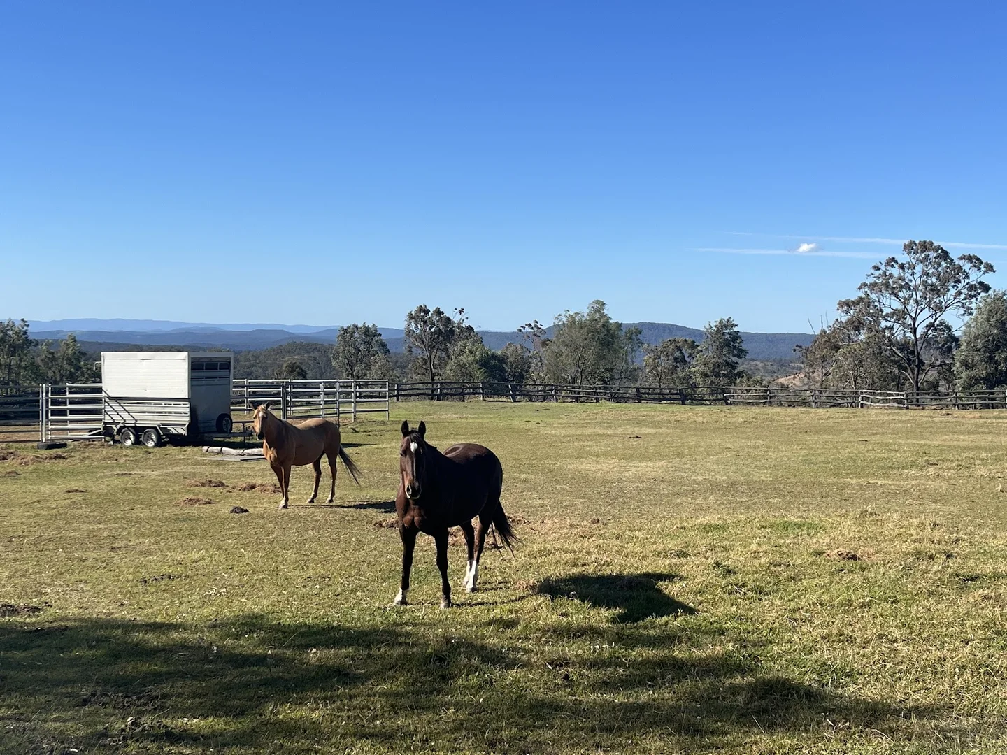 Additional image 15 of 1679 Ingoldsby Road, Ingoldsby QLD 4343