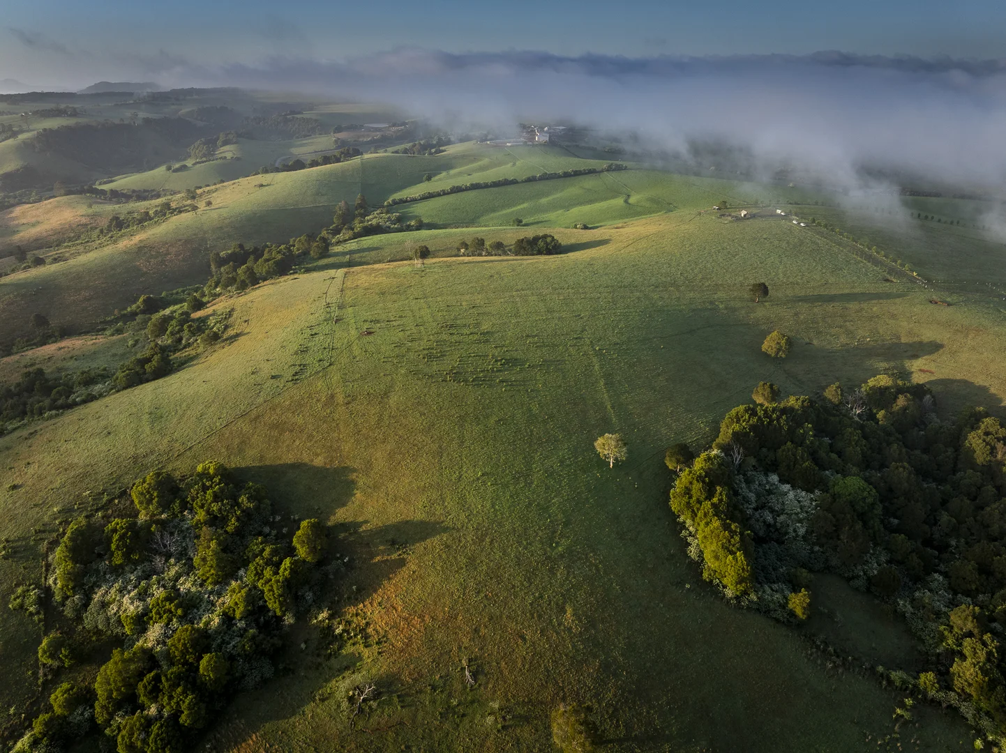Additional image 4 of 294 Coramba Road, Dorrigo NSW 2453