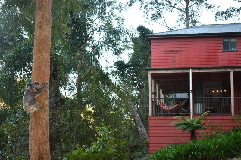 Additional image 4 of Bandon Grove NSW 2420