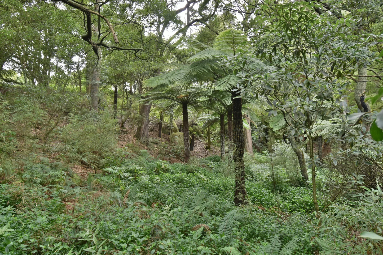 Additional image 4 of 273 Boolarra-Foster Road, Foster VIC 3960