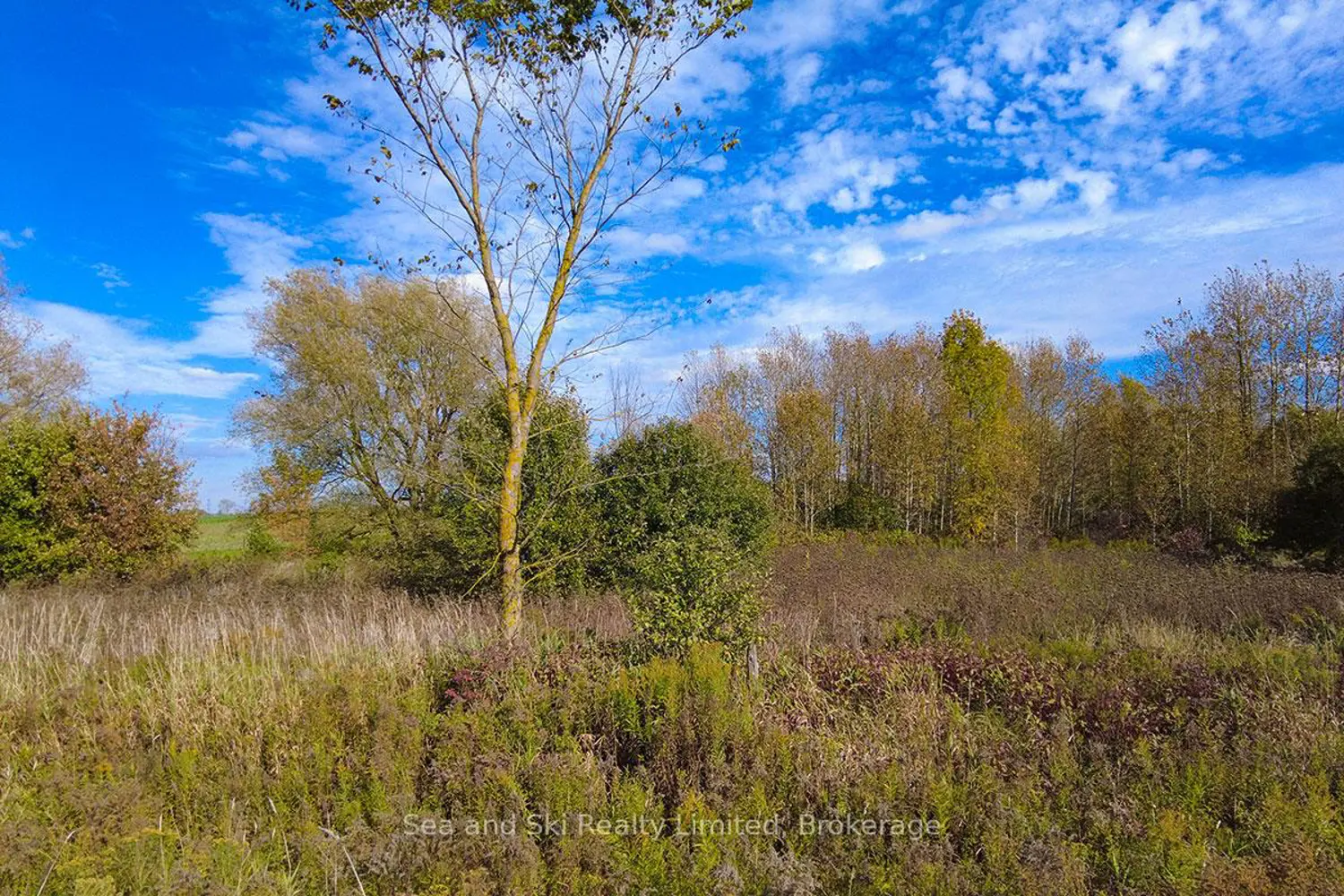 Additional image 17 of 31313 Grey Road 14 Road