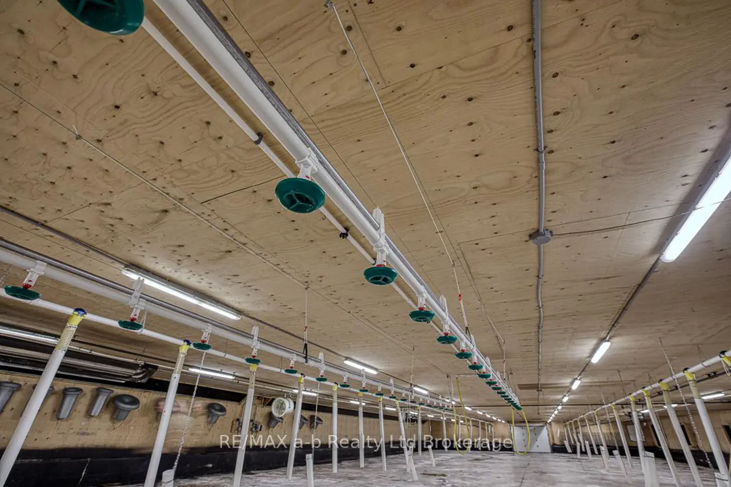 Additional image 4 of 936549 Blenheim Road