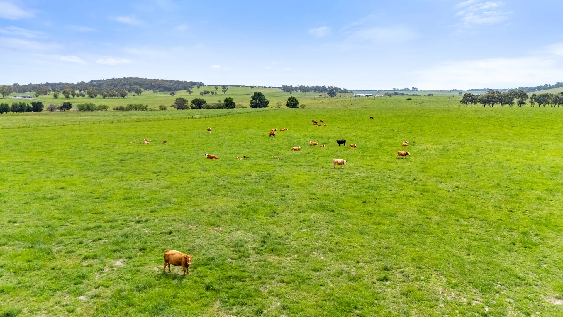 Additional image 3 of 192 Dawsons Creek Road Bannister Via, Crookwell NSW 2583