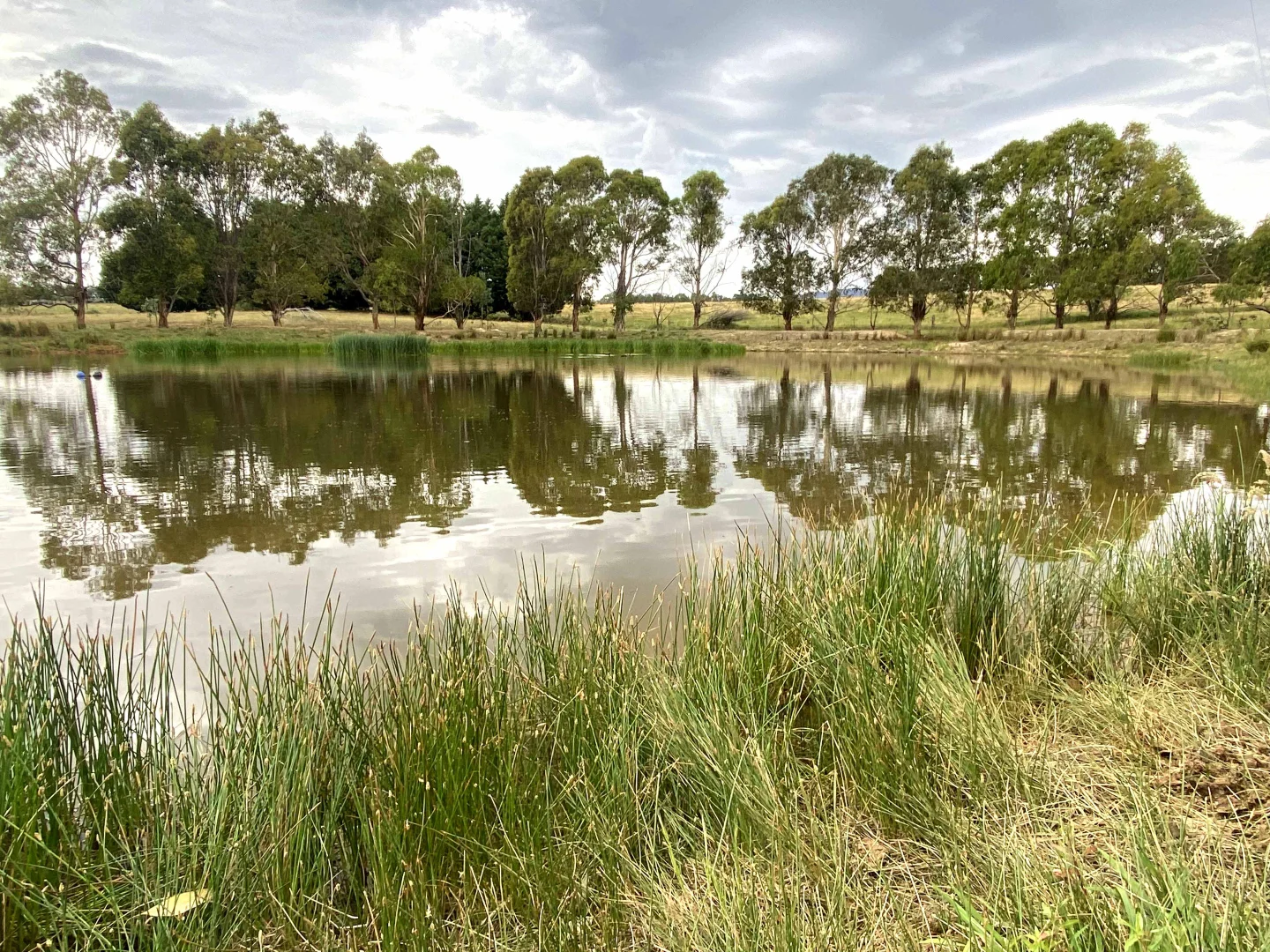 Additional image 32 of "Abbyville" 90 Convent Lane, Borenore NSW 2800