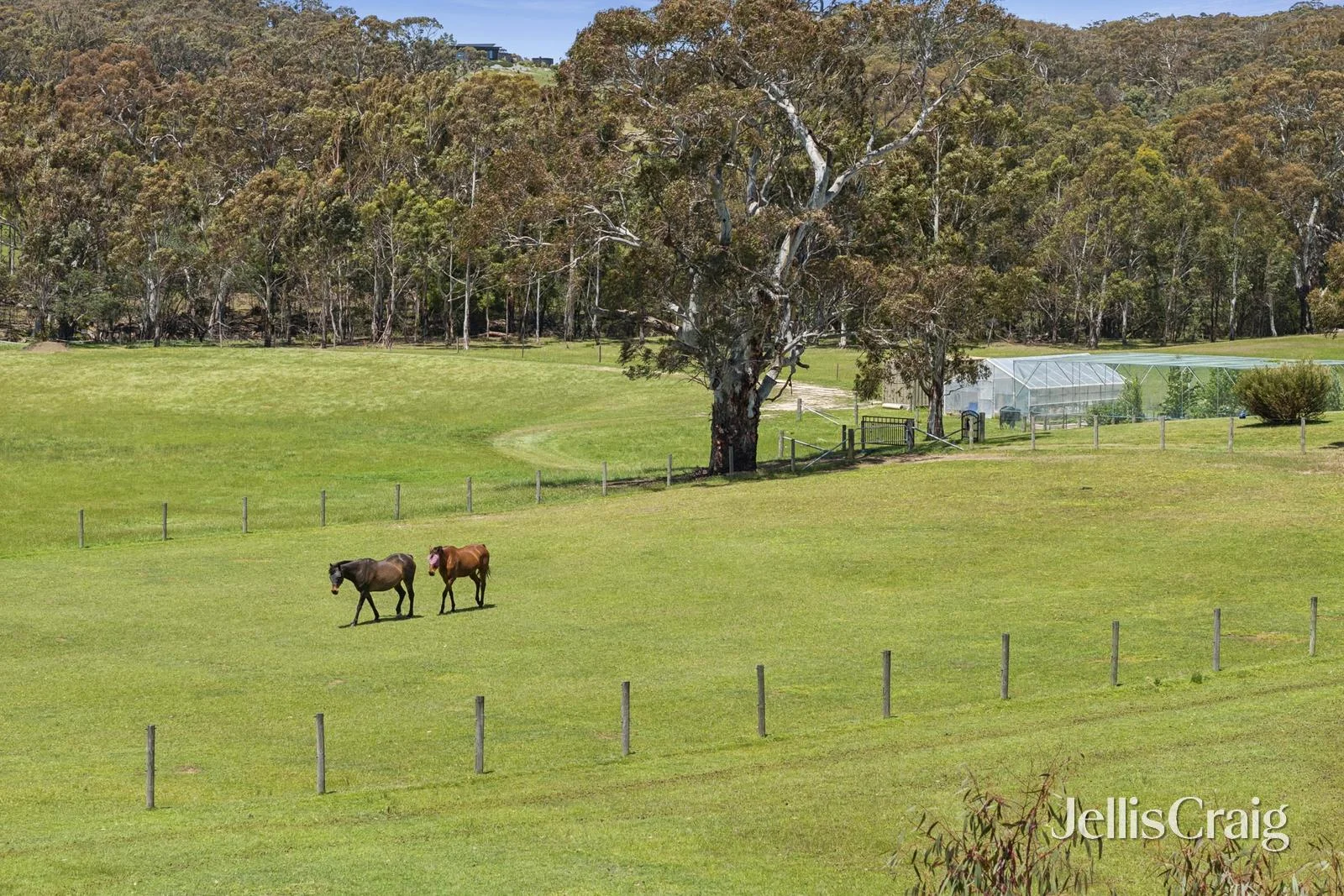 Additional image 23 of 321 Old Drummond Road, Taradale VIC 3447