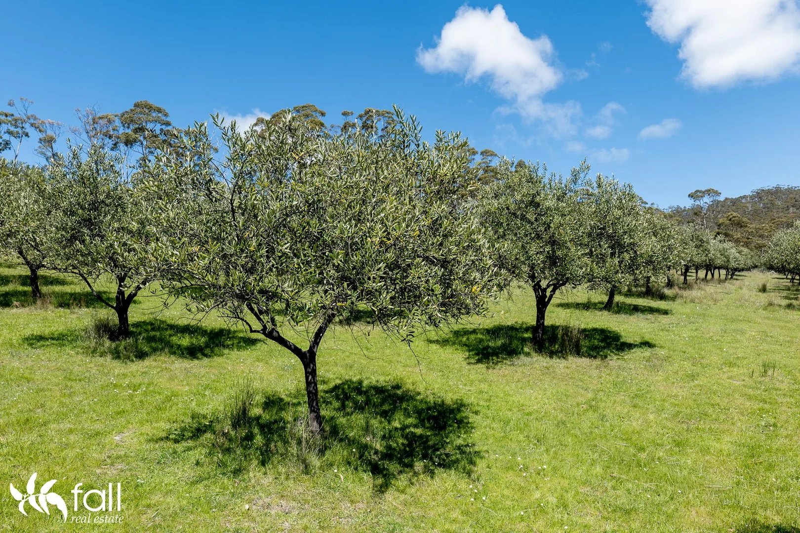 Additional image 19 of 402 Bruny Island Main Road, North Bruny TAS 7150