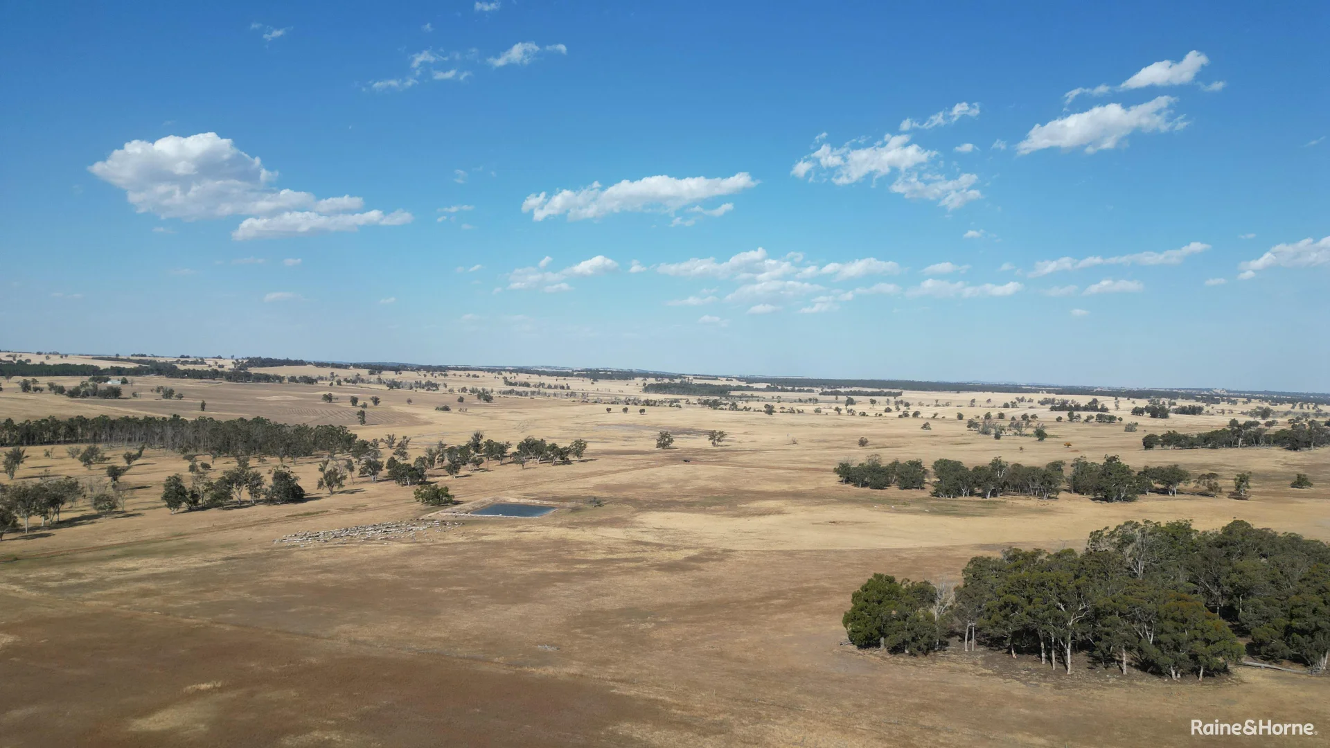 Additional image 7 of 1128 Bokal Road South, Mokup WA 6394