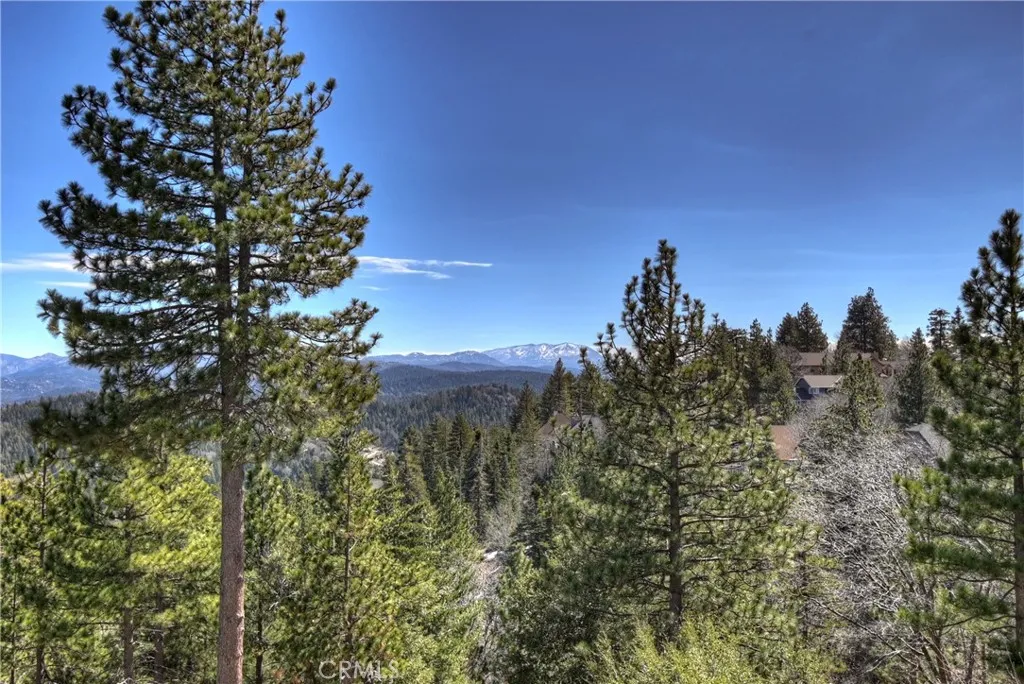 Additional image 113 of 26071 Walnut Hills Dr, Lake Arrowhead, CA 92352