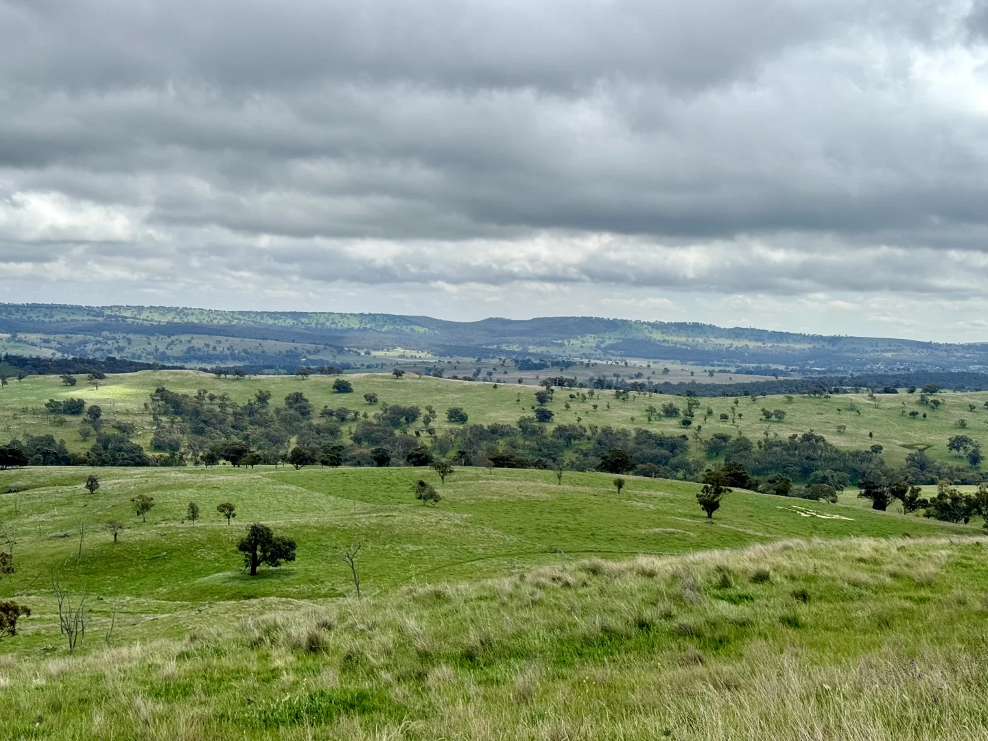 Additional image 26 of "Jemalong" 263 Collier Road, Coolah NSW 2843