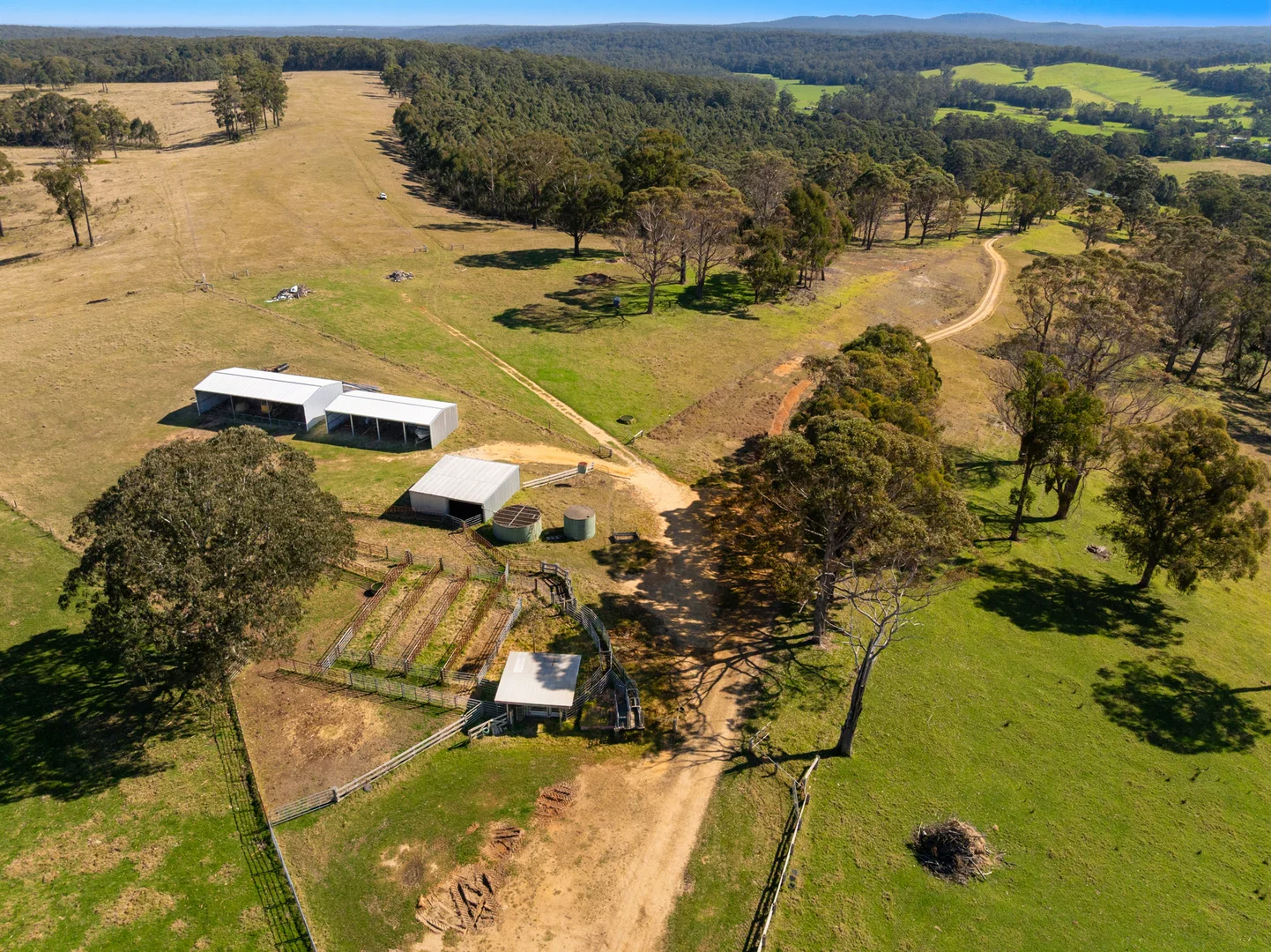 Additional image 44 of 218 Cabbage Tree - Conran Road, Cabbage Tree Creek VIC 3889