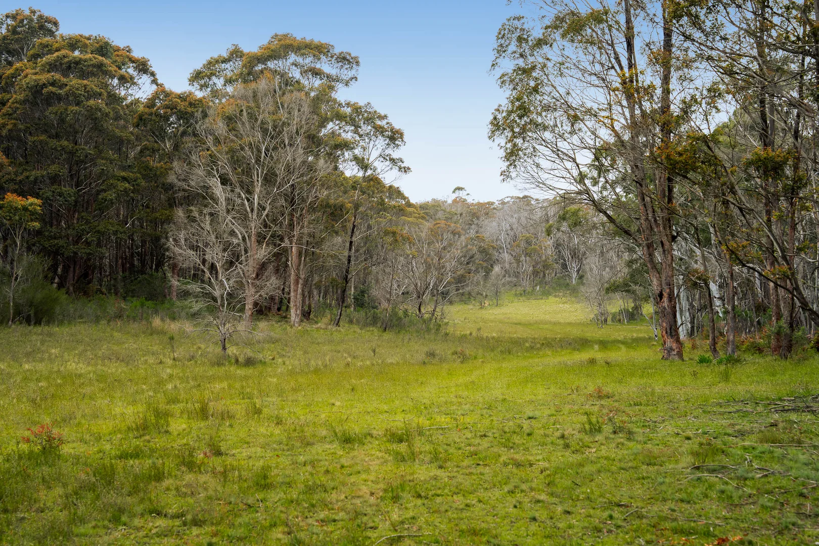 Additional image 5 of 153 Wiarborough Road, Wiarborough via, Taralga NSW 2580