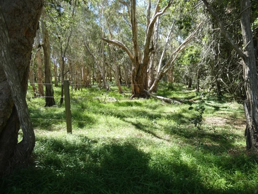 Additional image 34 of 158 Taunton Road, Euleilah QLD 4674