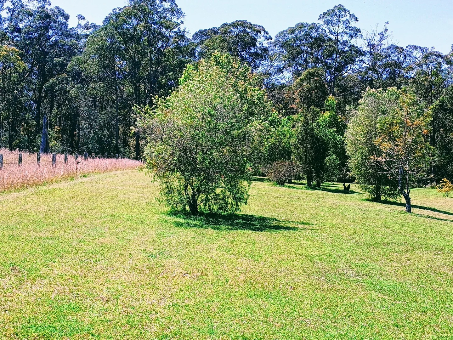 Additional image 28 of 427 Markwell Back Road, Bulahdelah NSW 2423