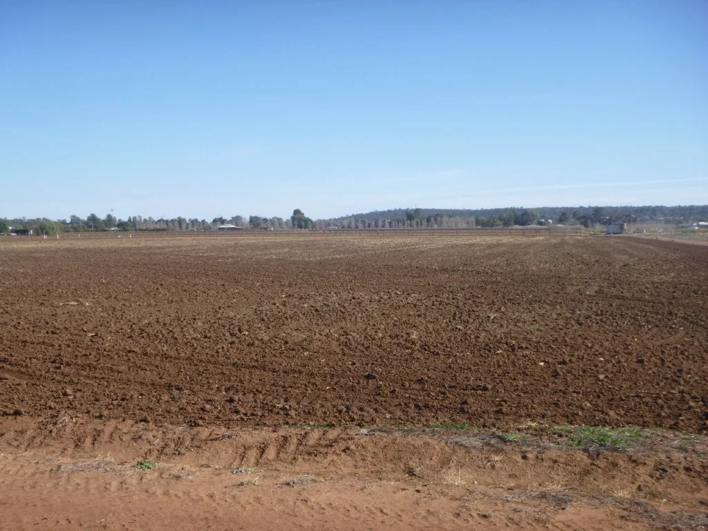 Part 619 Dinicola Road, Yoogali NSW 2680